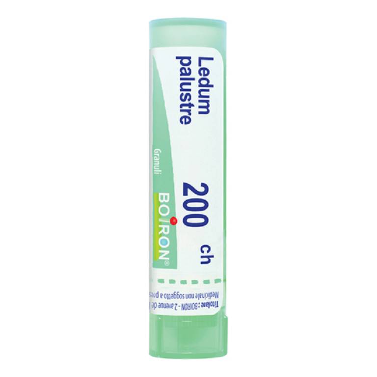 LEDUM PALUSTRE BOI*200CH GR 4G