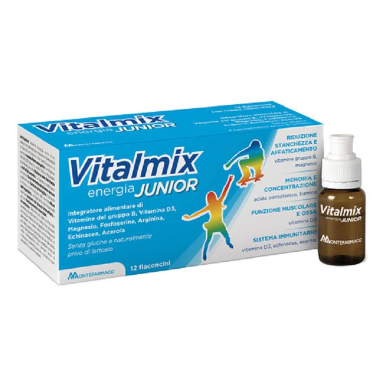 VITALMIX JUNIOR INTEGRAT 12FL